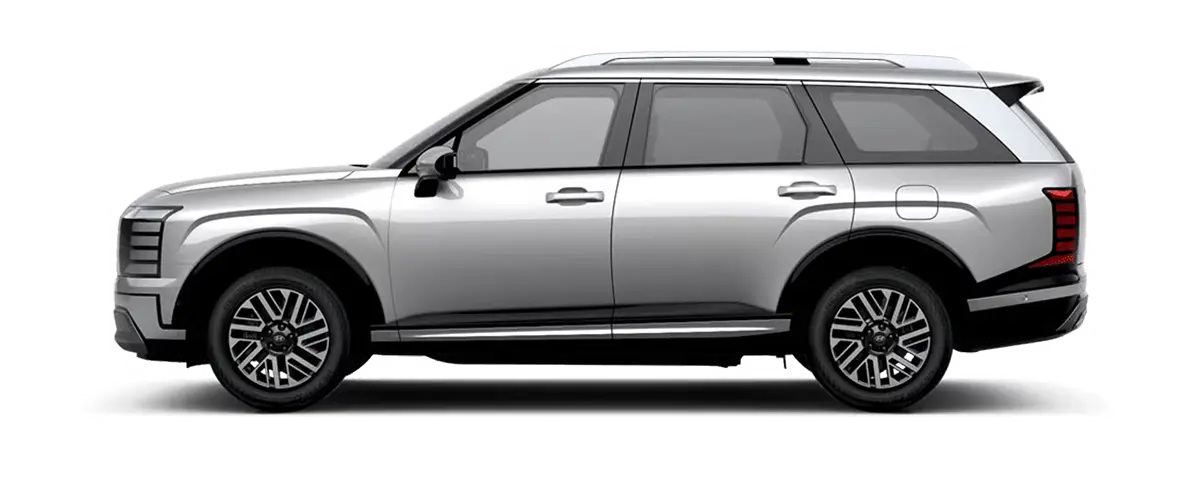 PALISADE Shimmering silver metallic