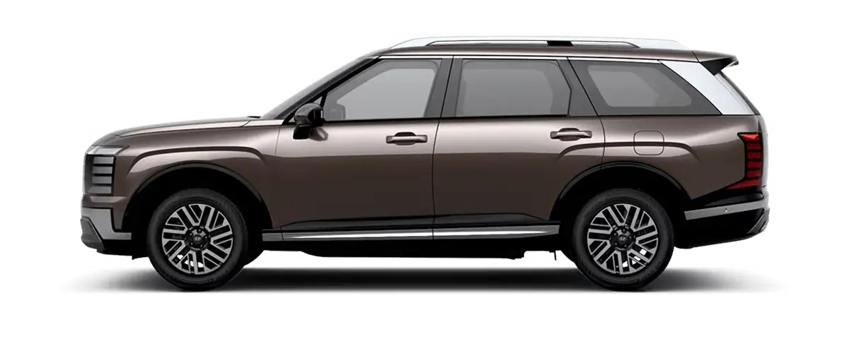 PALISADE Cast iron brown pearl