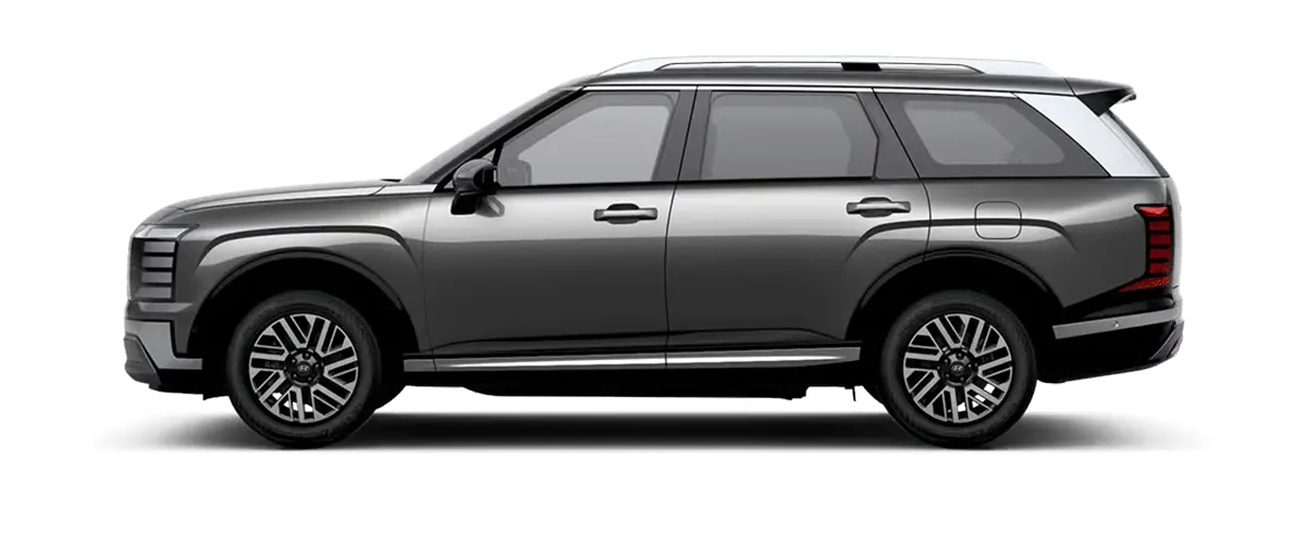 PALISADE Ecotronic gray pearl